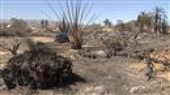 Telecanarias - Telecanarias - 07/06/2016