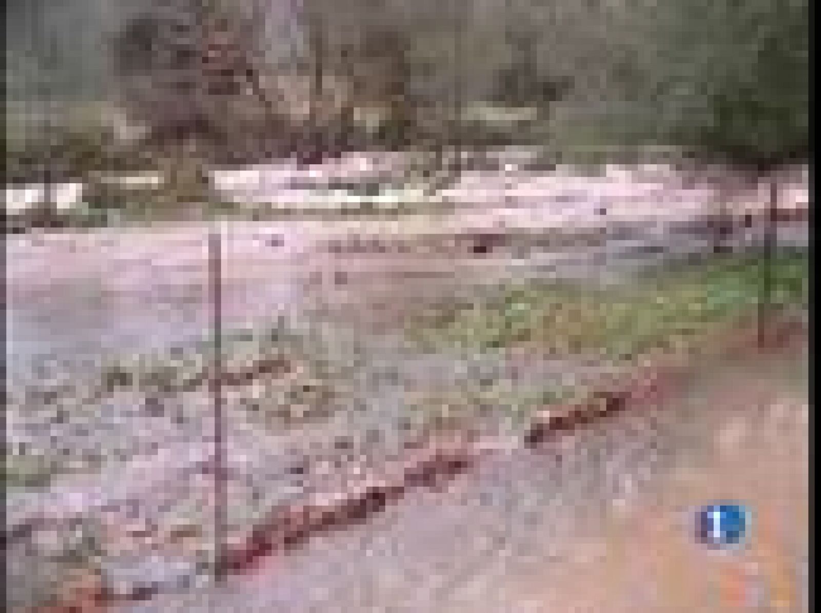 El Tiempo - 16/12/08 - El tiempo | Ver