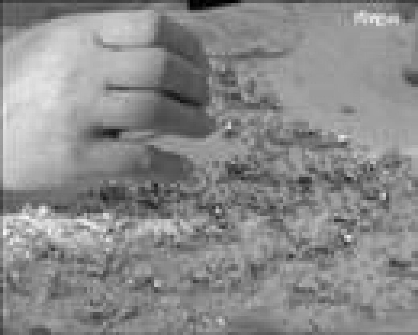 Arxiu TVE Catalunya - Mare Nostrum, 1968