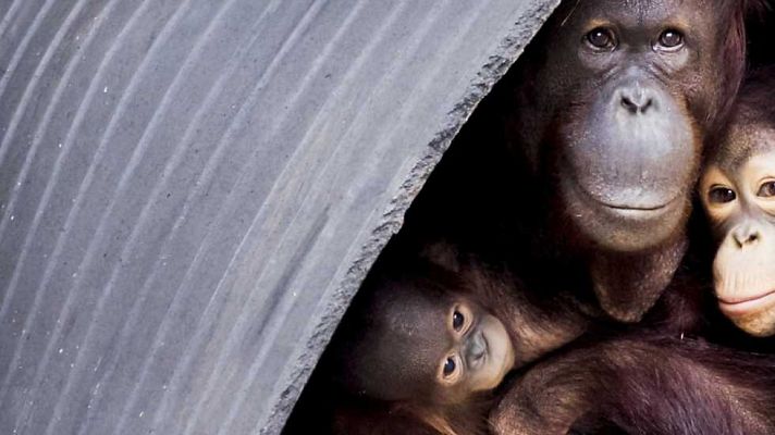 La 2 Noticias - La 2 Noticias - 08/06/16