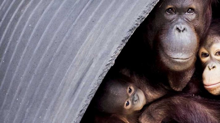 La 2 Noticias - La 2 Noticias - 08/06/16