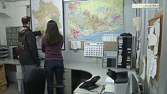 Tinc una idea - El futur de la milla verda