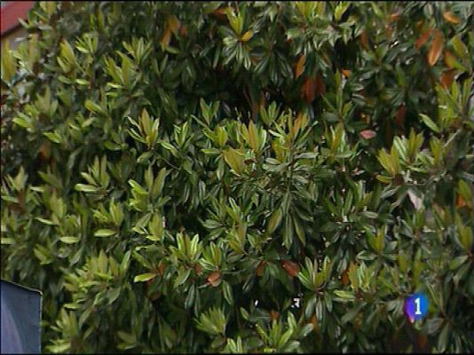 Panorama Regional - El tiempo en Asturias - 10/06/16