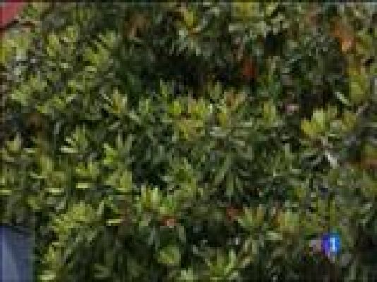 Panorama Regional - El tiempo en Asturias - 10/06/16