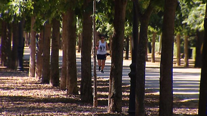 Informativo de Madrid - El Tiempo en la Comunidad de Madrid - 10/06/16