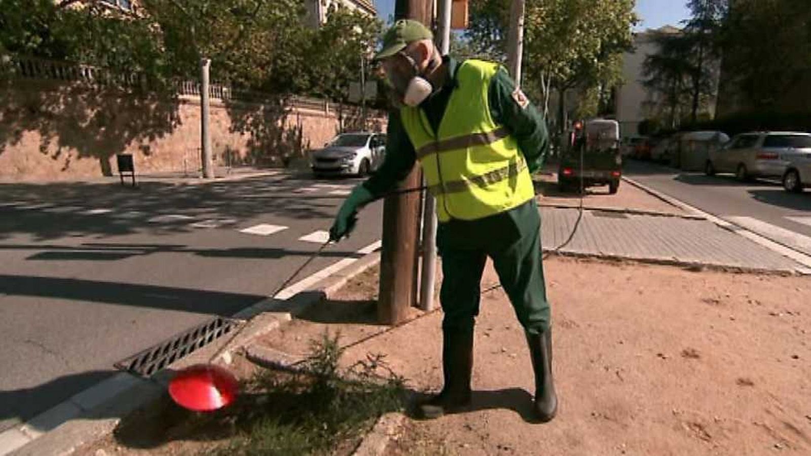 El escarabajo verde - El matón de las hierbas - ver ahora