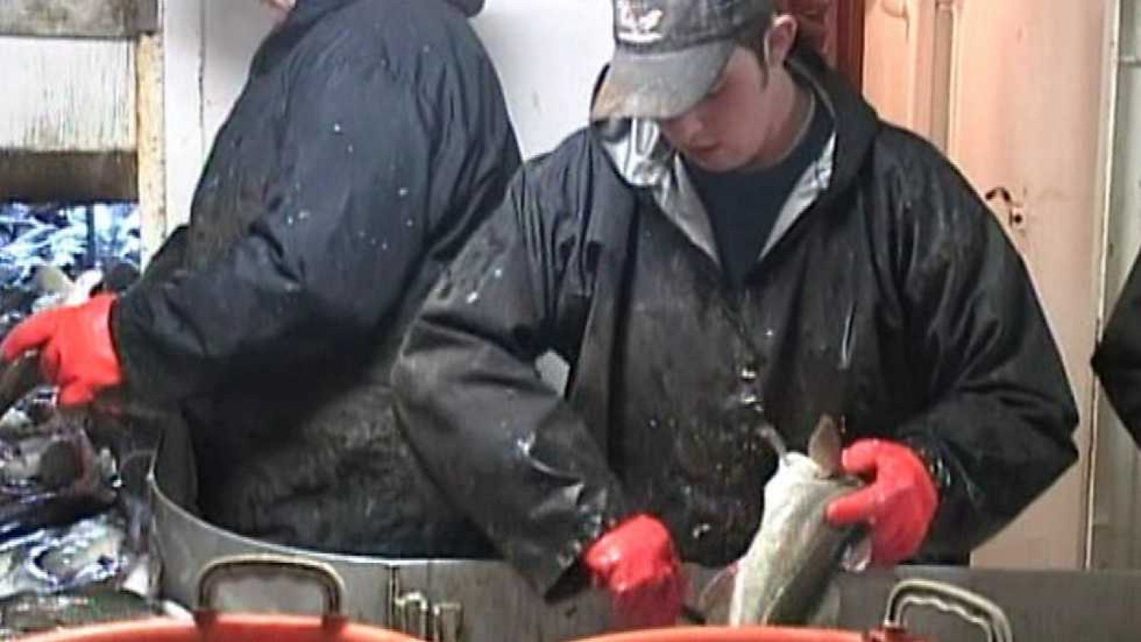 Agrosfera - 11/06/16 - ver ahora