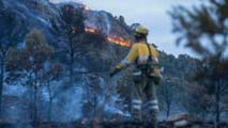 Más de 200 personas trabajan para extinguir un incendio forestal en Murcia