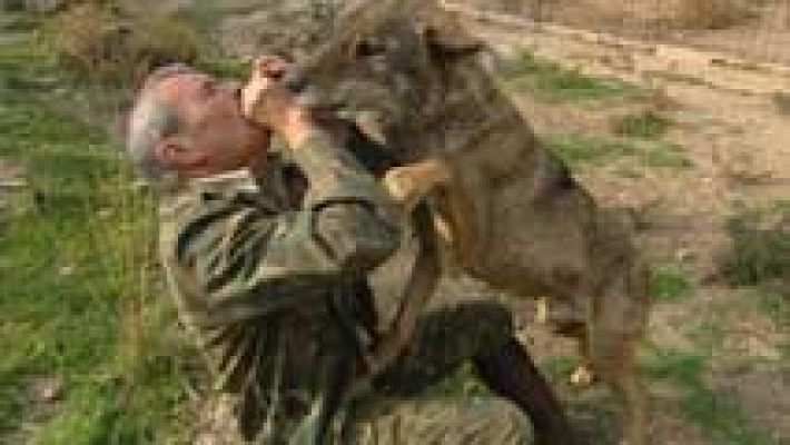 Telediario 1 - La historia de Marcos Rodríguez Pantoja, el 'niño que vivió en el monte'