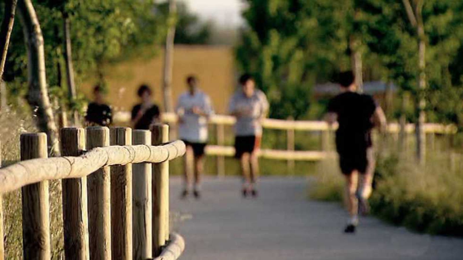 Vive la Vía - Sierra de Alcaraz - ver ahora