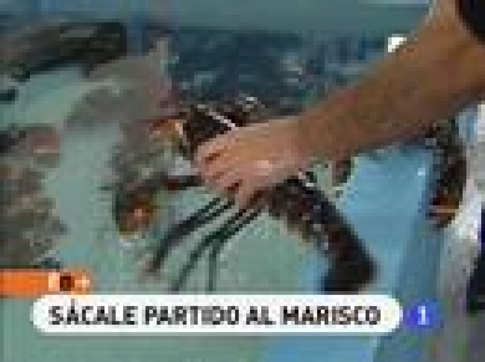 España Directo - Ideas para el menú navideño - RTVE Cocina | Ver