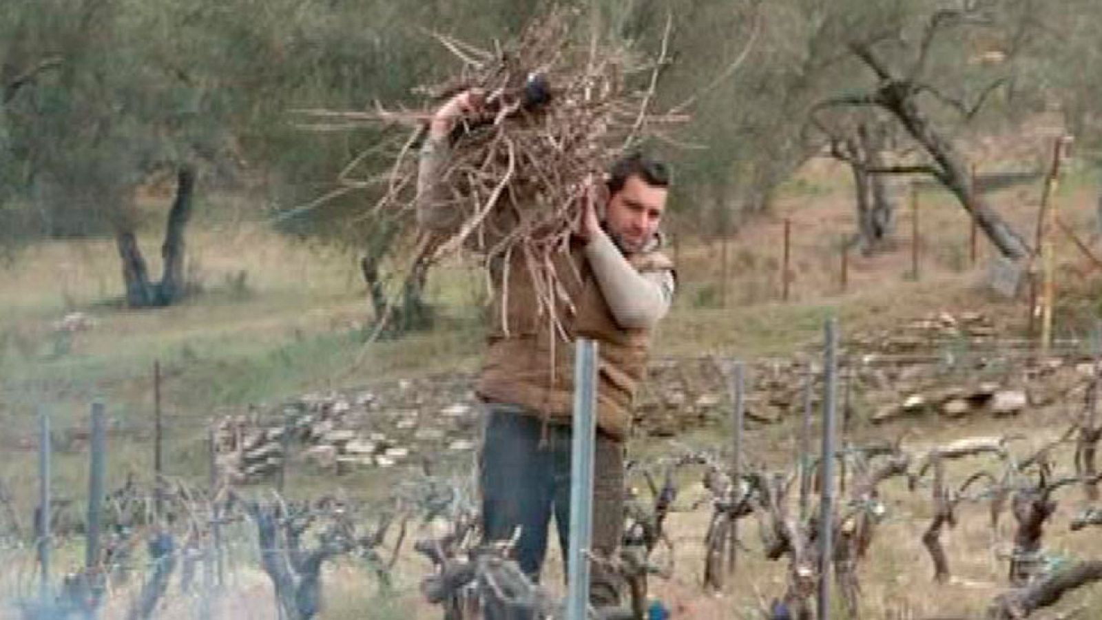 Red Natura 2000: Un viñedo y una bodega en la sierra norte de Sevilla | RTVE Play