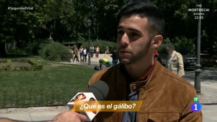 Seguridad vital 5.0 - 'Seguridad Vital' - 'Señal' - Gálibo