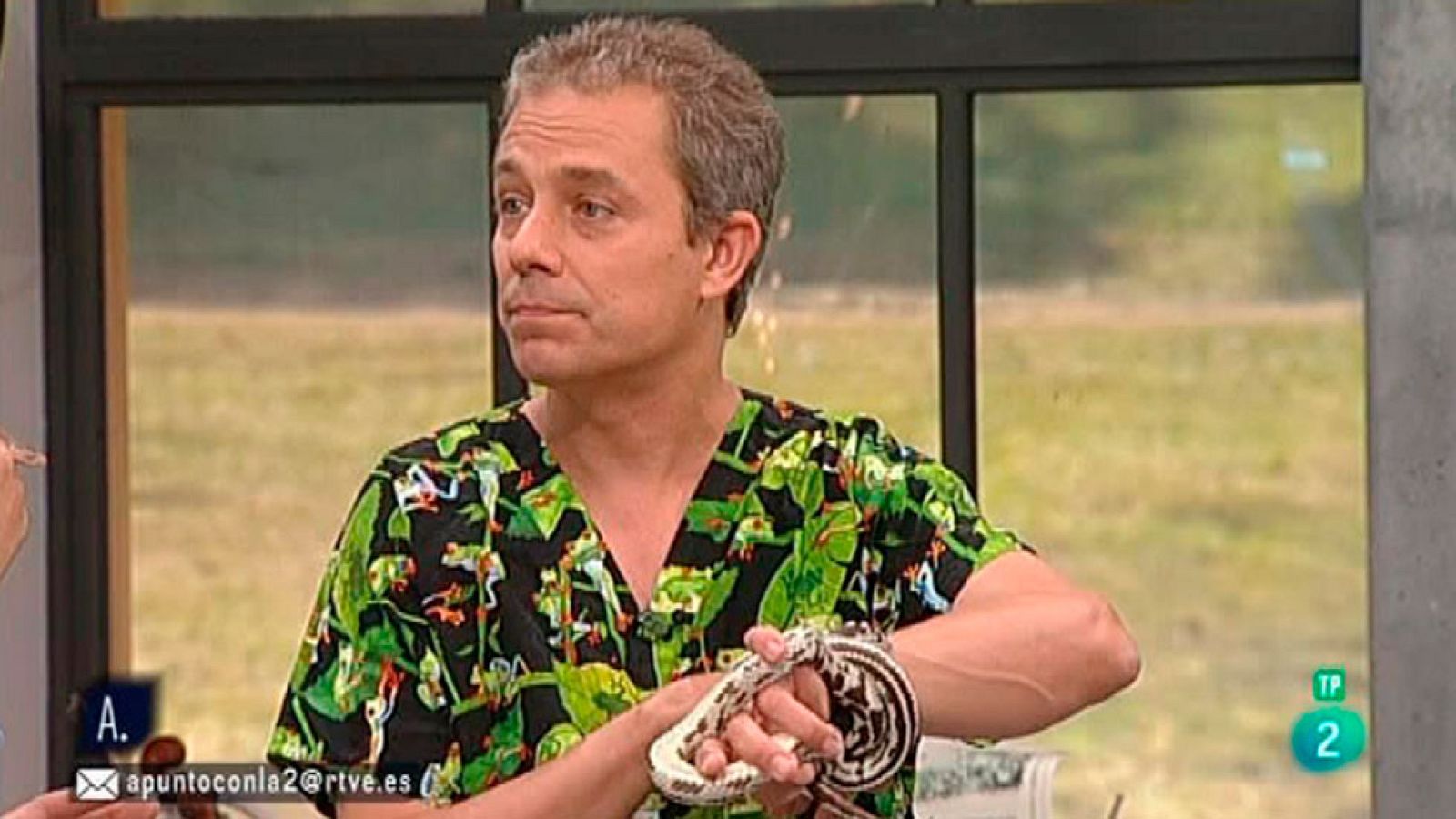 A punto con La 2 - Animales en casa - Tener una serpiente en casa