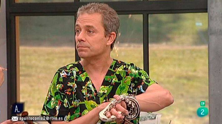 A punto con La 2 - Animales en casa - Tener una serpiente en casa