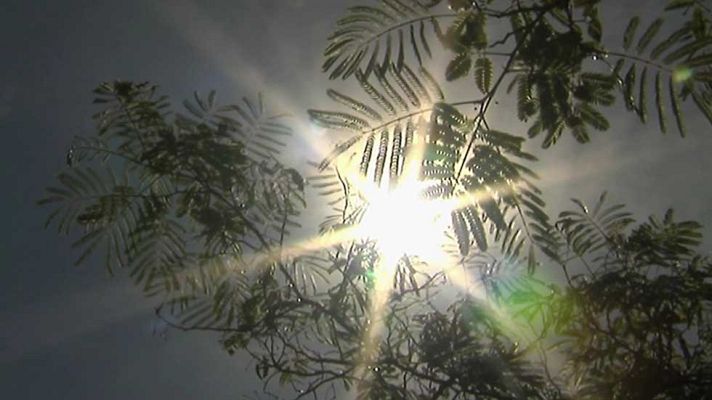 Informativo de Madrid - El Tiempo en la Comunidad de Madrid - 13/06/16