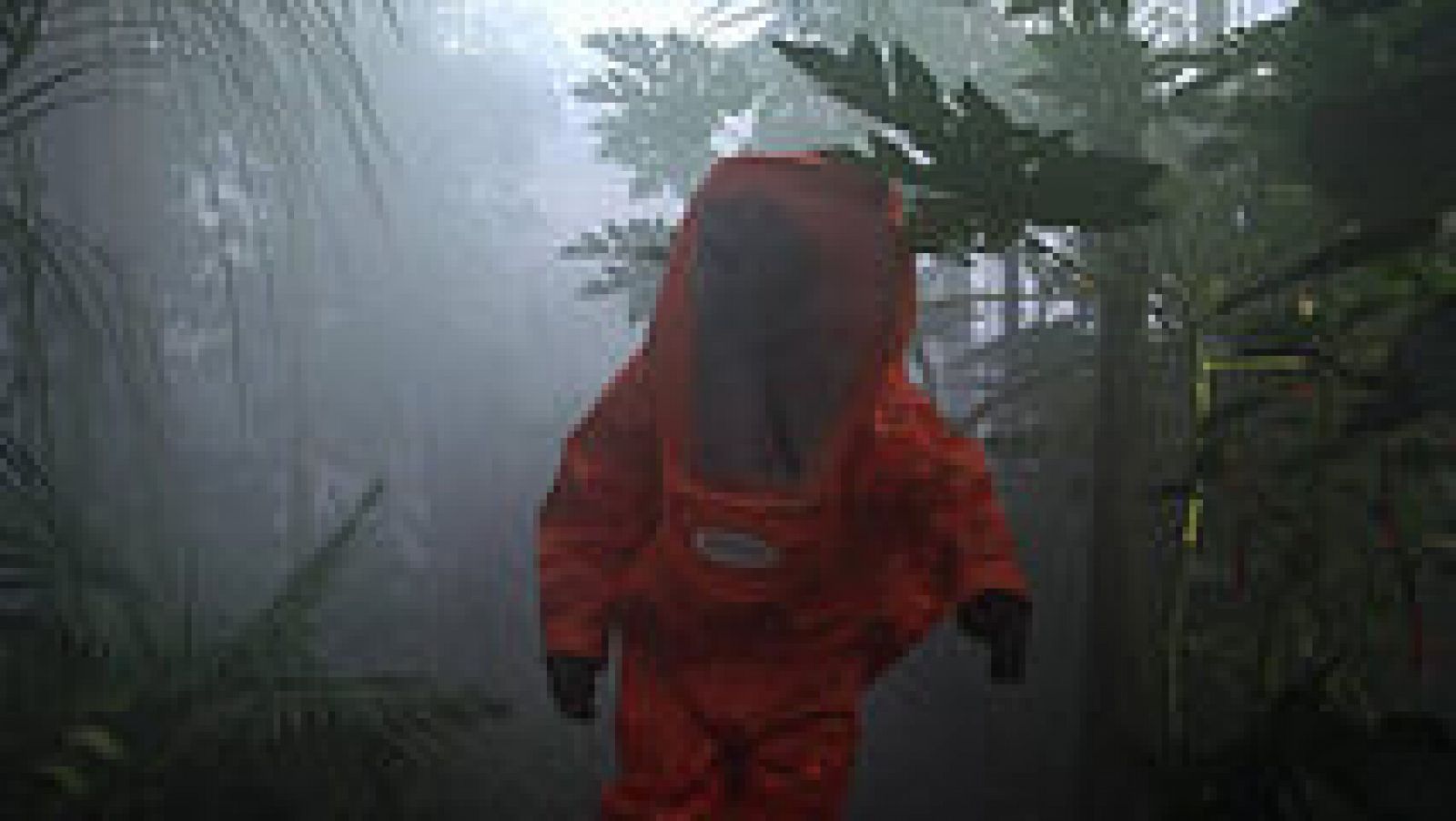 Documentos TV - La visita - ver ahora