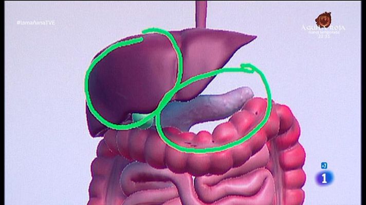 La mañana - Ardor, acidez y protectores