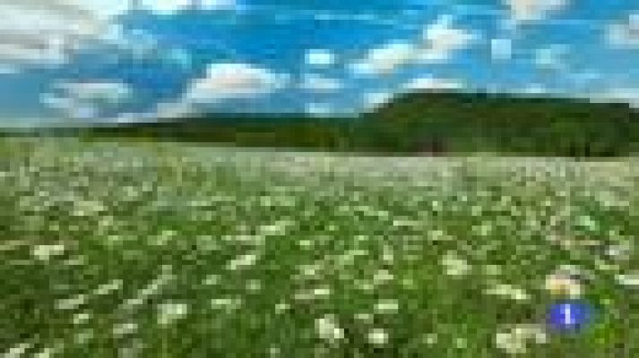 Noticias Murcia - El tiempo en la Región de Murcia - 14/06/2016