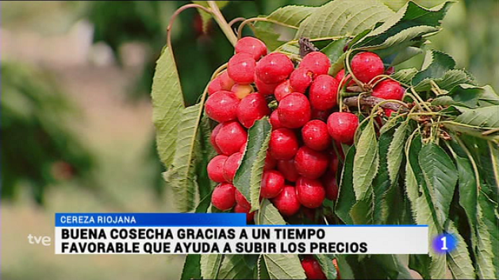 Informativo Telerioja - Telerioja en 2' - 14/06/16