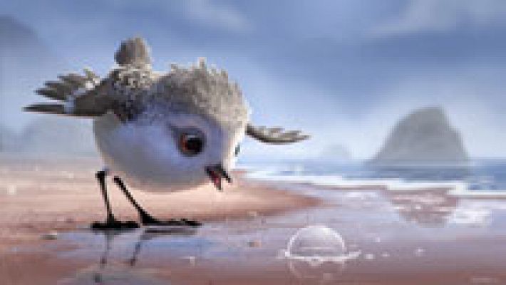 Cultura en Rtve.es - Tráiler de 'Piper', el nuevo cortometraje de Disney-Pixar