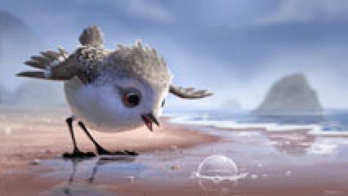 Tráiler de 'Piper', el nuevo cortometraje de Disney-Pixar