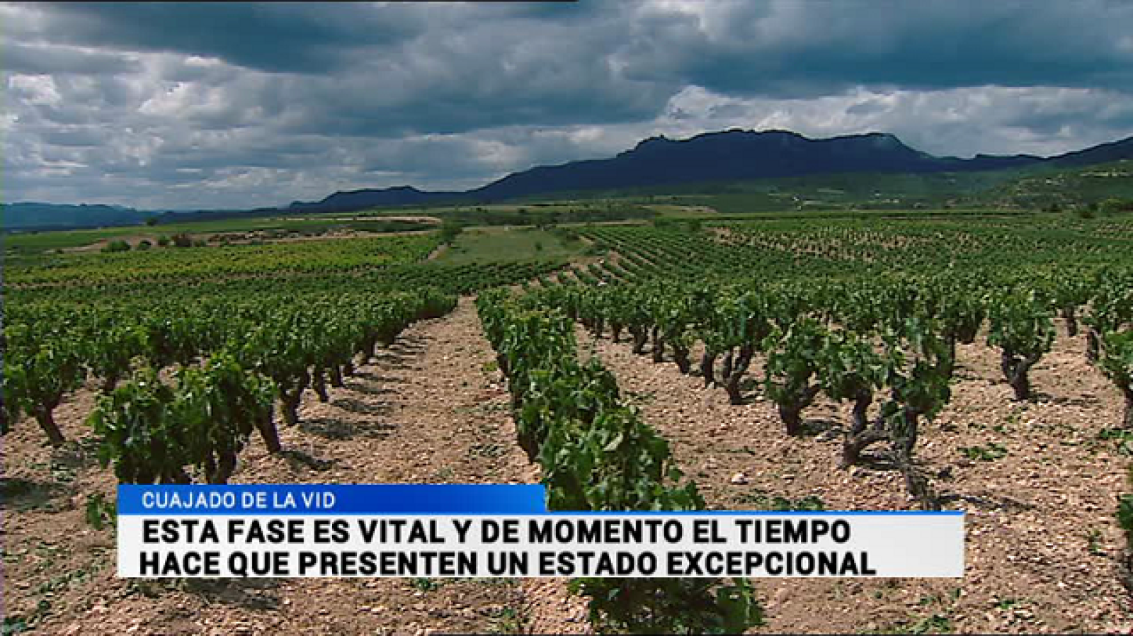 Telerioja en 2' - 15/06/16