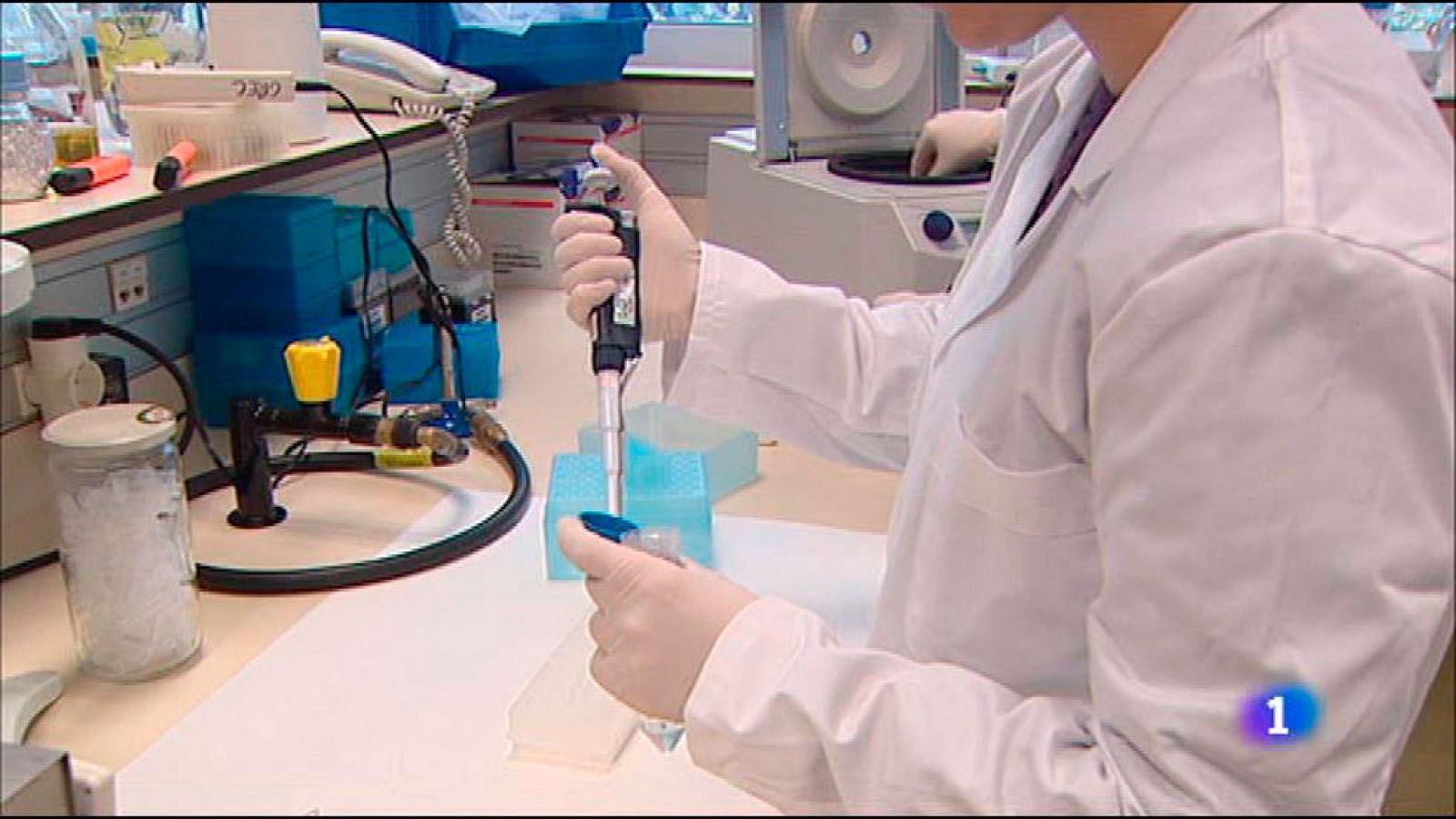 L'Informatiu - 15/06/2016