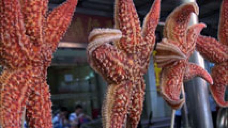 Serpientes, arañas, escorpiones... tapas típicas en algunos mercados de Asia