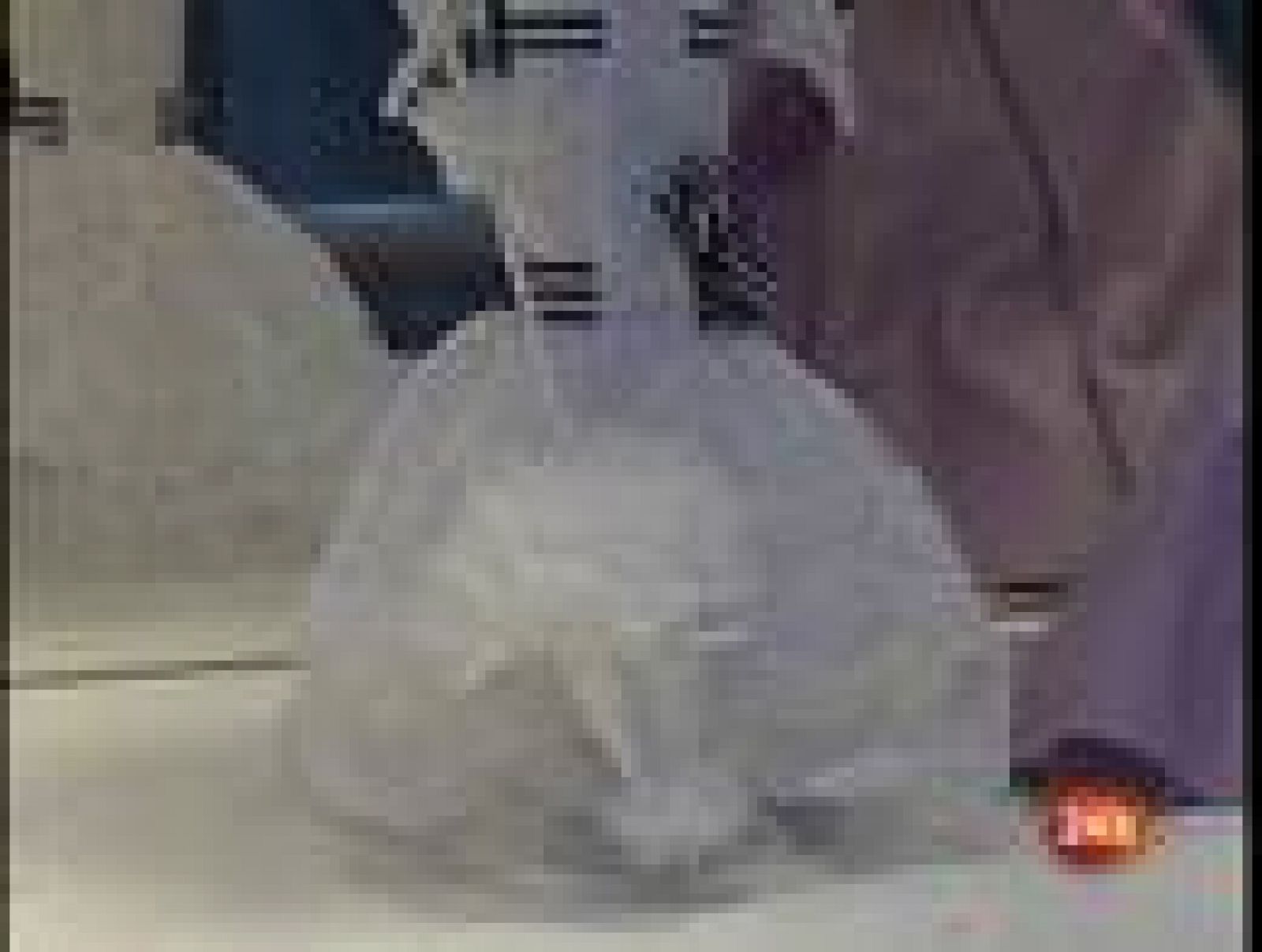 En el País Vasco se puede ver esta exposición de muñecas Barbies | Ver