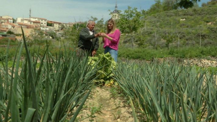 Aquí la Tierra - Clase práctica para hortelanos urbanitas