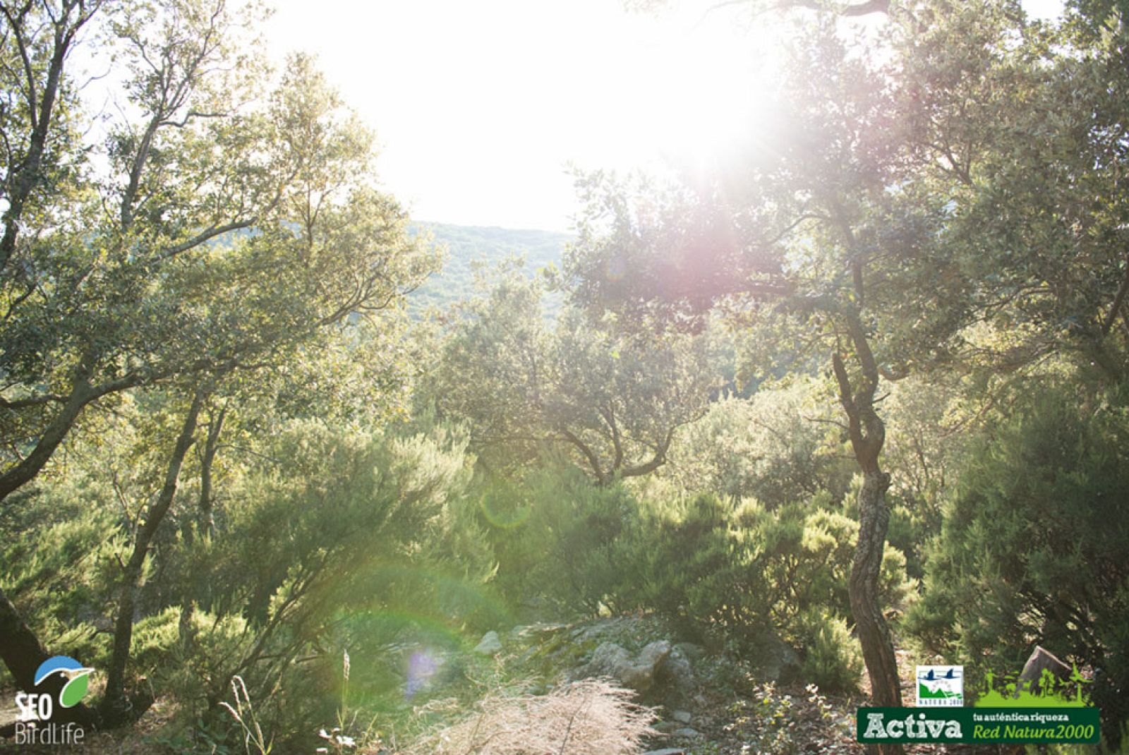 Red Natura 2000: L'Albera | RTVE Play