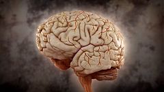 Desafía tu mente - ¿Cuánto tiempo necesita el cerebro para pensar?