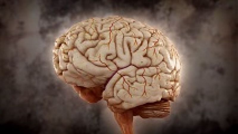 Desafía tu mente - ¿Cuánto tiempo necesita el cerebro para pensar? 