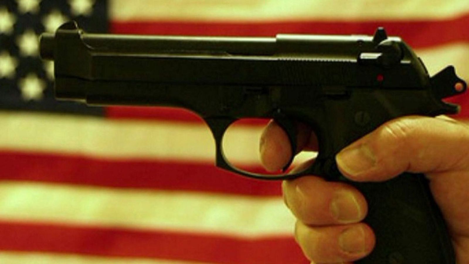 La noche temática - Armas de fuego, a debate 