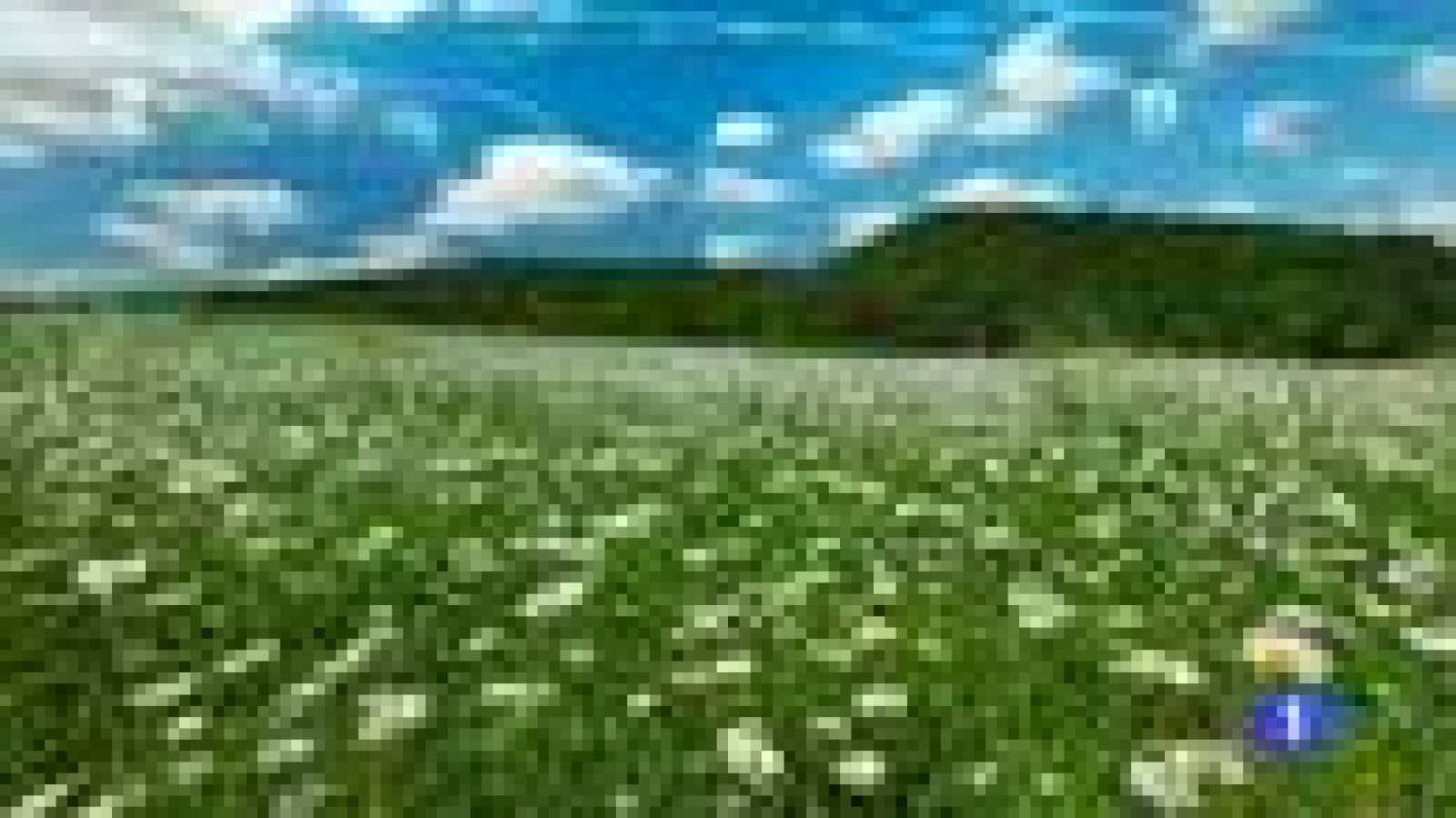 El tiempo en la Región de Murcia - 16/06/2016