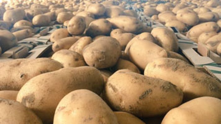 España Directo - Las papas de Sanlúcar de Barrameda