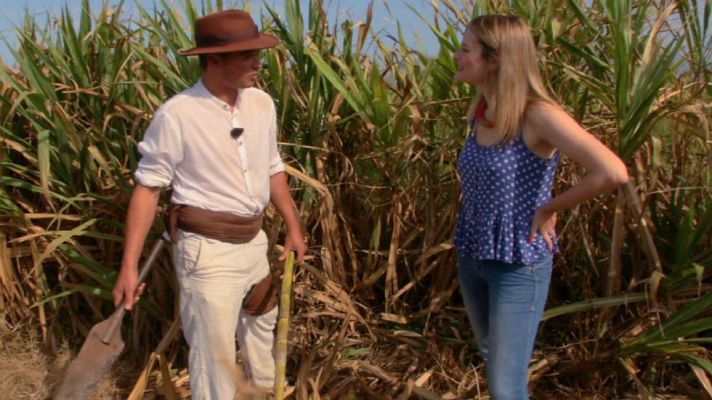 Aquí la Tierra - Lo que no sabías de la caña de azúcar