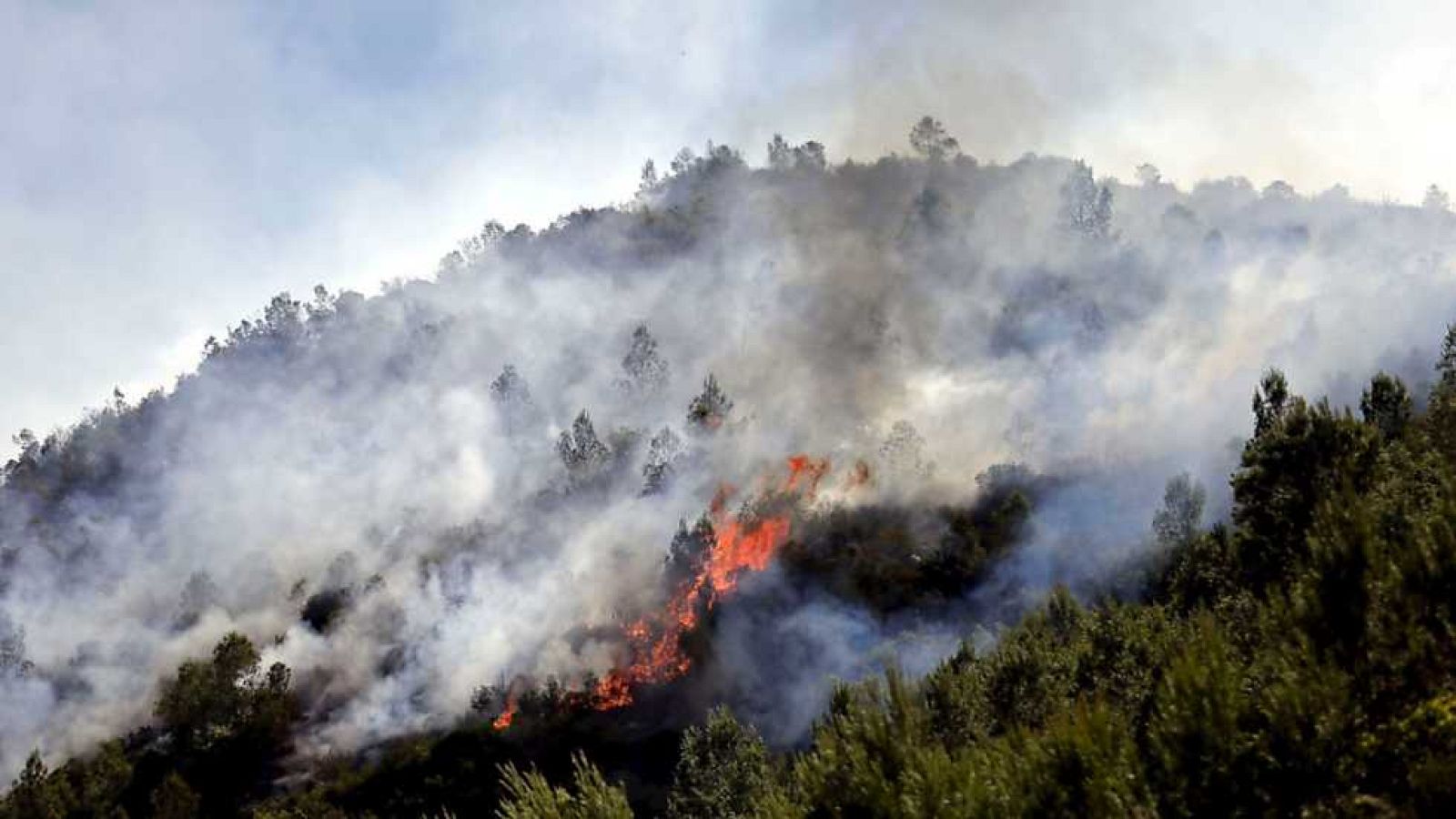 L'Informatiu - Comunitat Valenciana - 17/06/16 - ver ahora