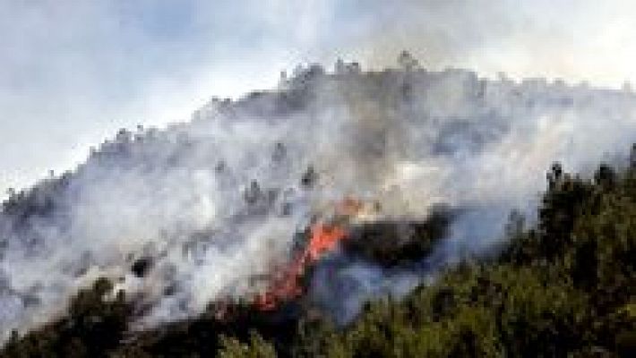 L'informatiu - Comunitat Valenciana - L'Informatiu - Comunitat Valenciana - 17/06/16