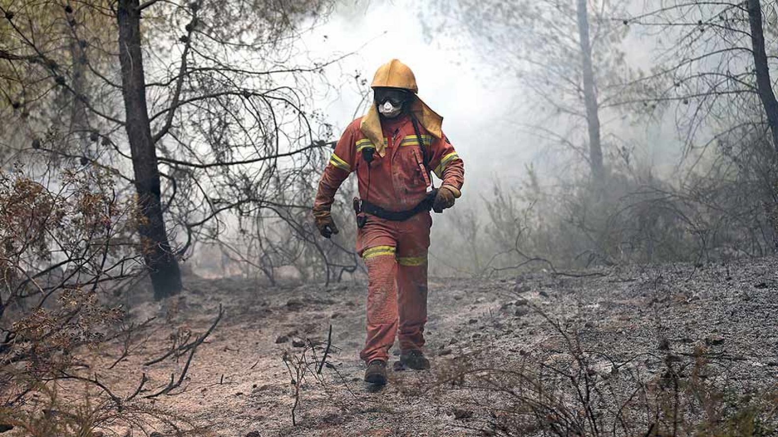 Siguen activos cuatro incendios en Valencia