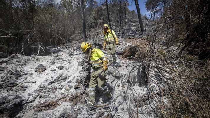 Telediario 1 - El peor de los incendios de Carcaixent podría quedar estabilizado en pocas horas