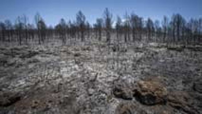 Telediario 1 - Comiezan a volver a sus hogares los vecinos afectados por los incendios en Carcaixent