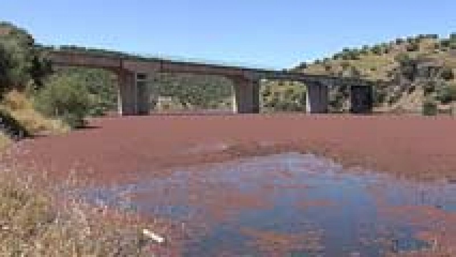 Telediario 1: Remite la plaga del helecho de agua que cubre un tramo del río Almonte (Cáceres) | RTVE Play