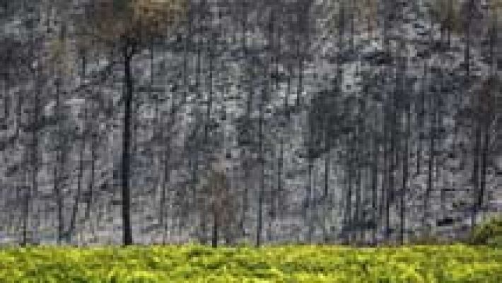 Telediario 1 - Estabilizado el incendio de Carcaixent, aunque aún no está controlado