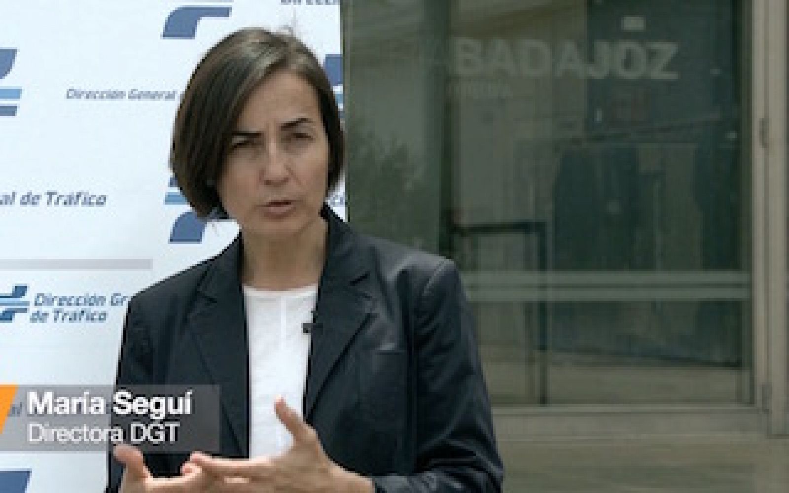 María Seguí, directora de la DGT