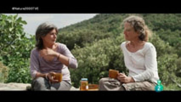 Red Natura 2000 - La vaca de l'Albera