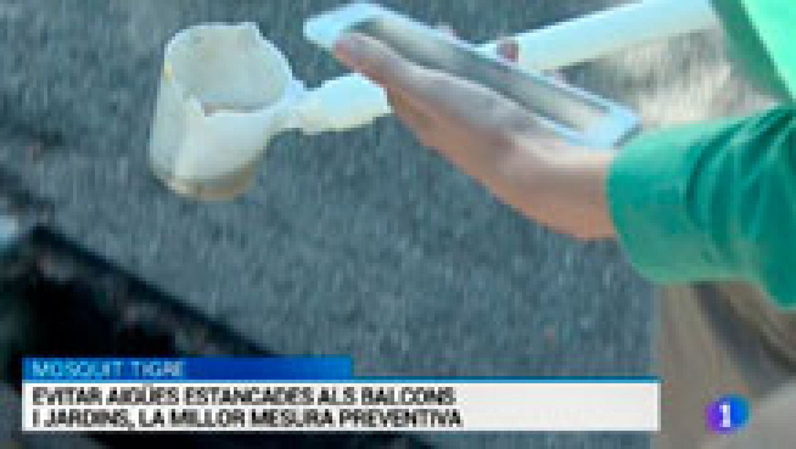 L'Informatiu 2 - 20/06/2016