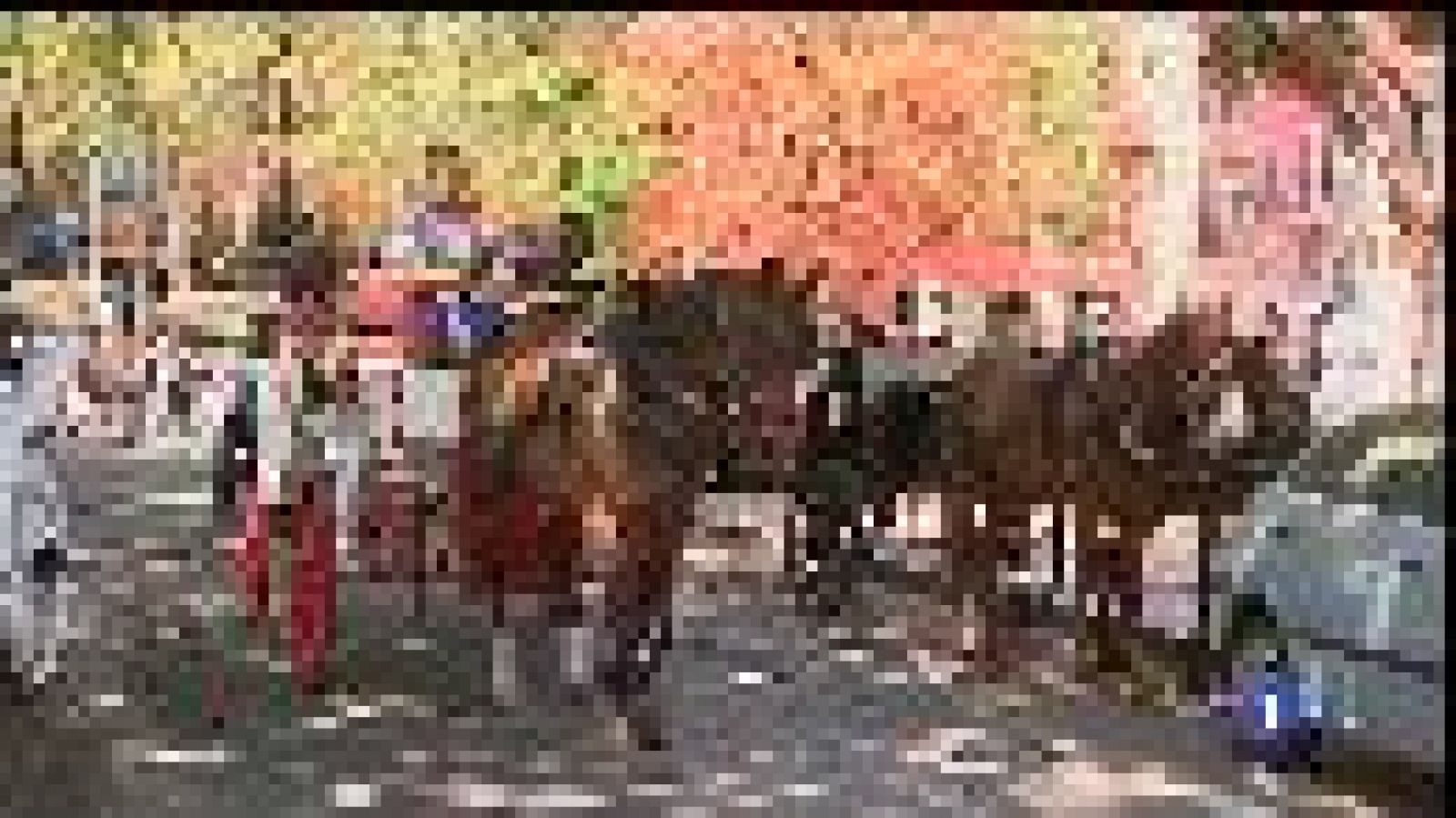 Polèmica per les galeres