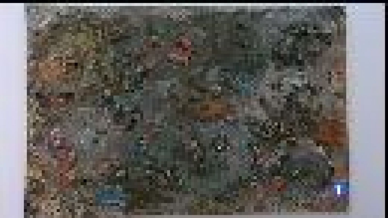 Un joc al museu del Baluard